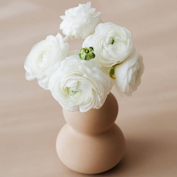 Bouquet de fleurs blanches : sérénité et renouveau pro pour votre secrétariat.